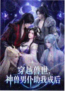 动画类内容画像,强调季数与更新节奏